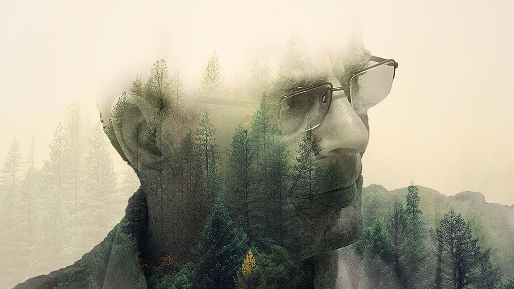 websetters webdesign double exposure