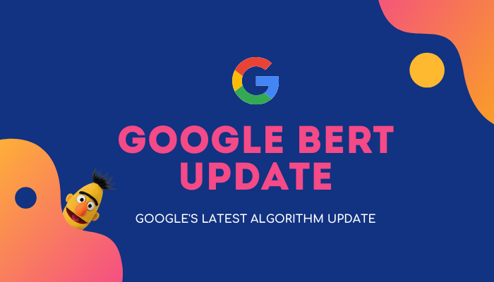 google bert update